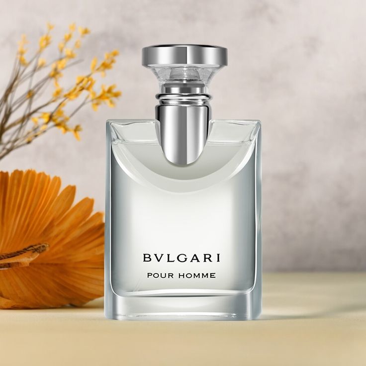 BVL POUR HOMME EDP 100ML