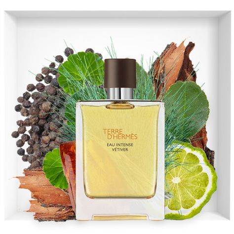 HERMES TERRE D'HERMES EAU INTENSE VETIVER EDP 100ML